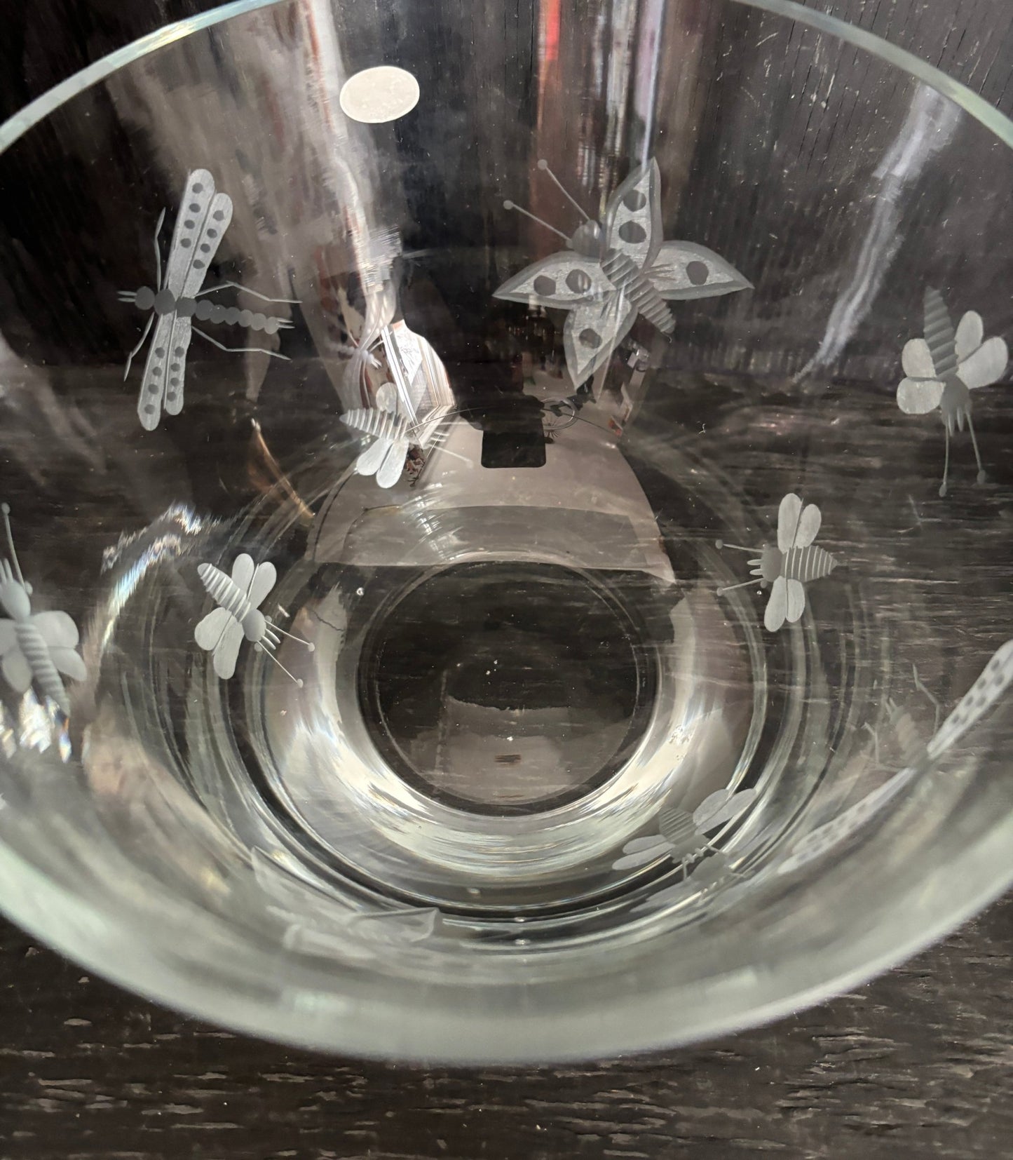 Abbott Collection Glass Salad Bowl with Etched Insects design