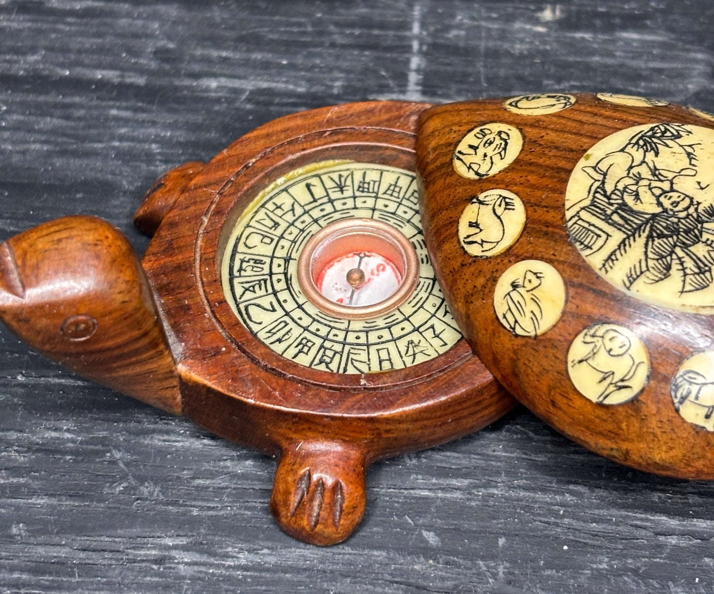 Asian Wood Turtle Zodiac Compass