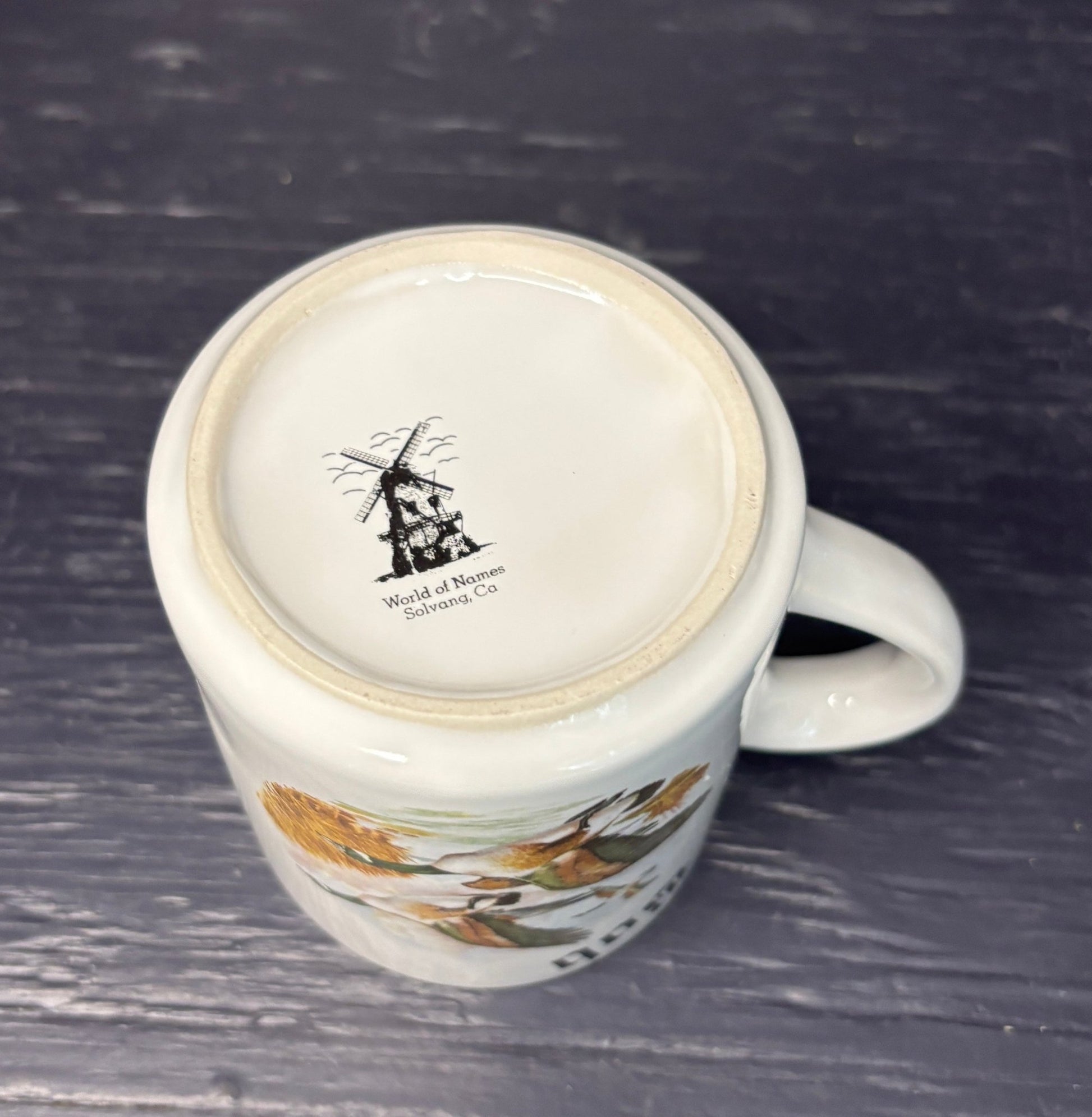 Mug with a scenic design on a dark surface