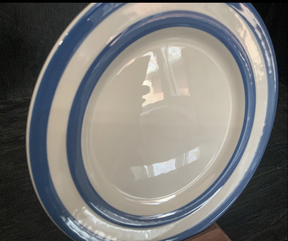 Blue Striped Plate