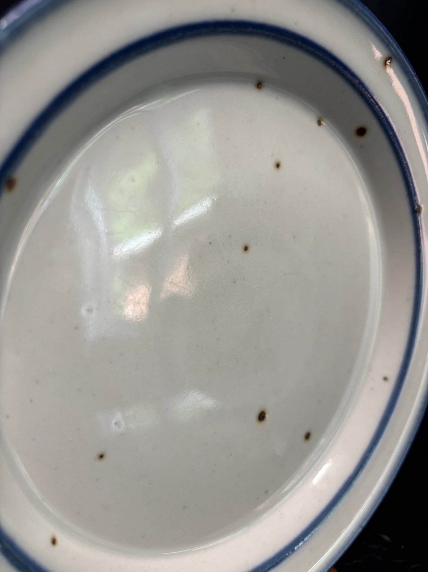 Dansk Blue Mist Plate with white background speckled finish and blue trim