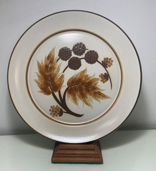 Denby Cotswold Dinner Plates