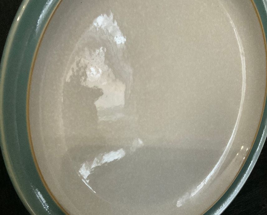 Denby Elements Fern Green Dinner Plate