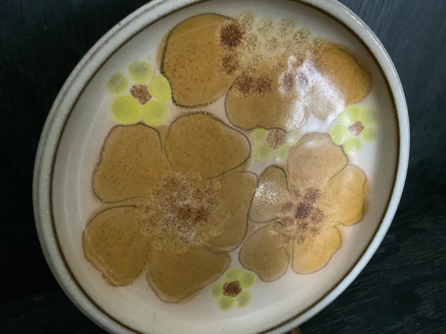 Denby Minstrel Plate