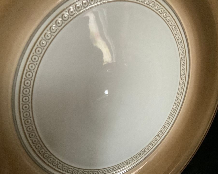 white and brown Denby Seville Dinner Plate