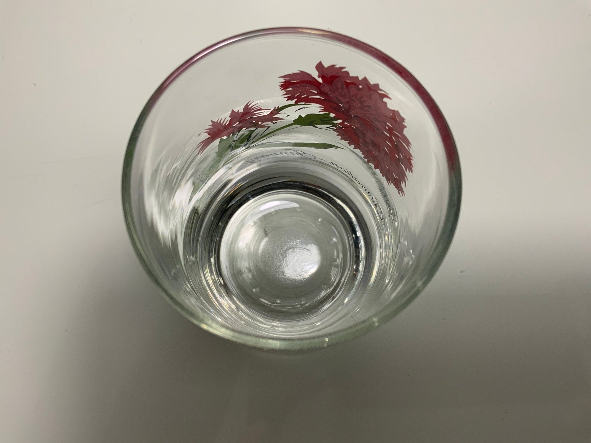 Dominion Glass January Carnation Flower of the Month Drink Glass
