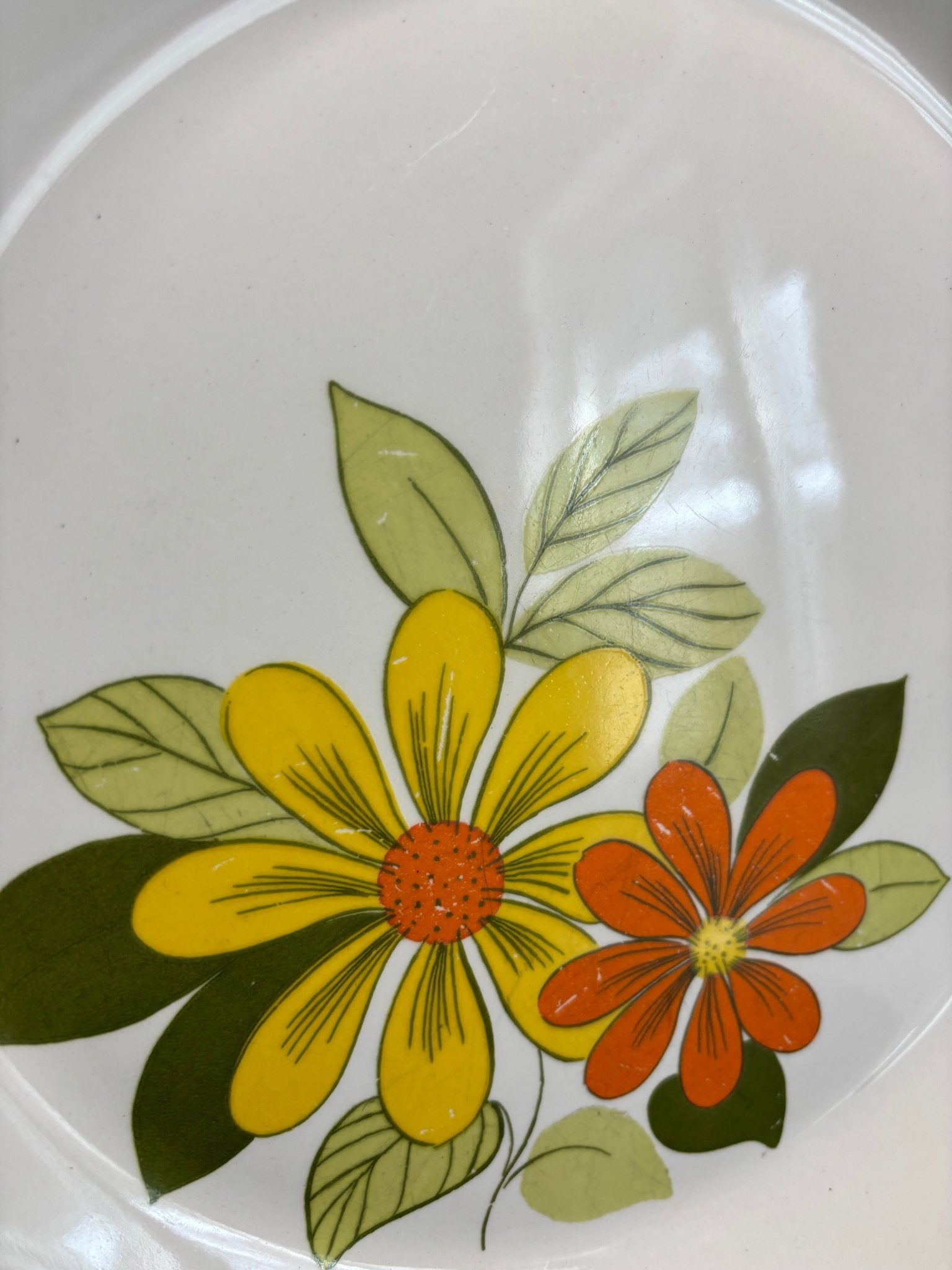 Johnson Brothers Acapulco Dinner Plates