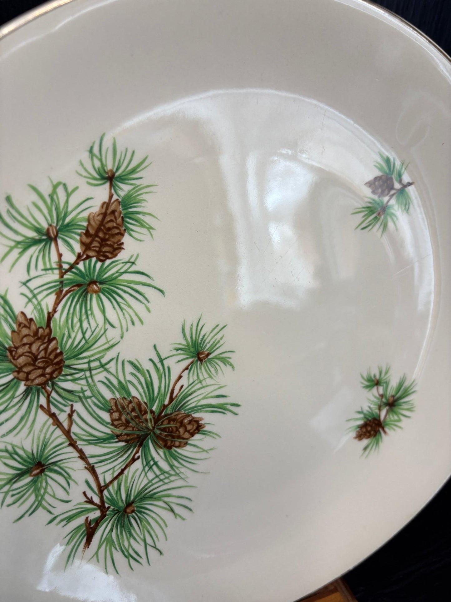 Pine Cone Oval Dinner Plate