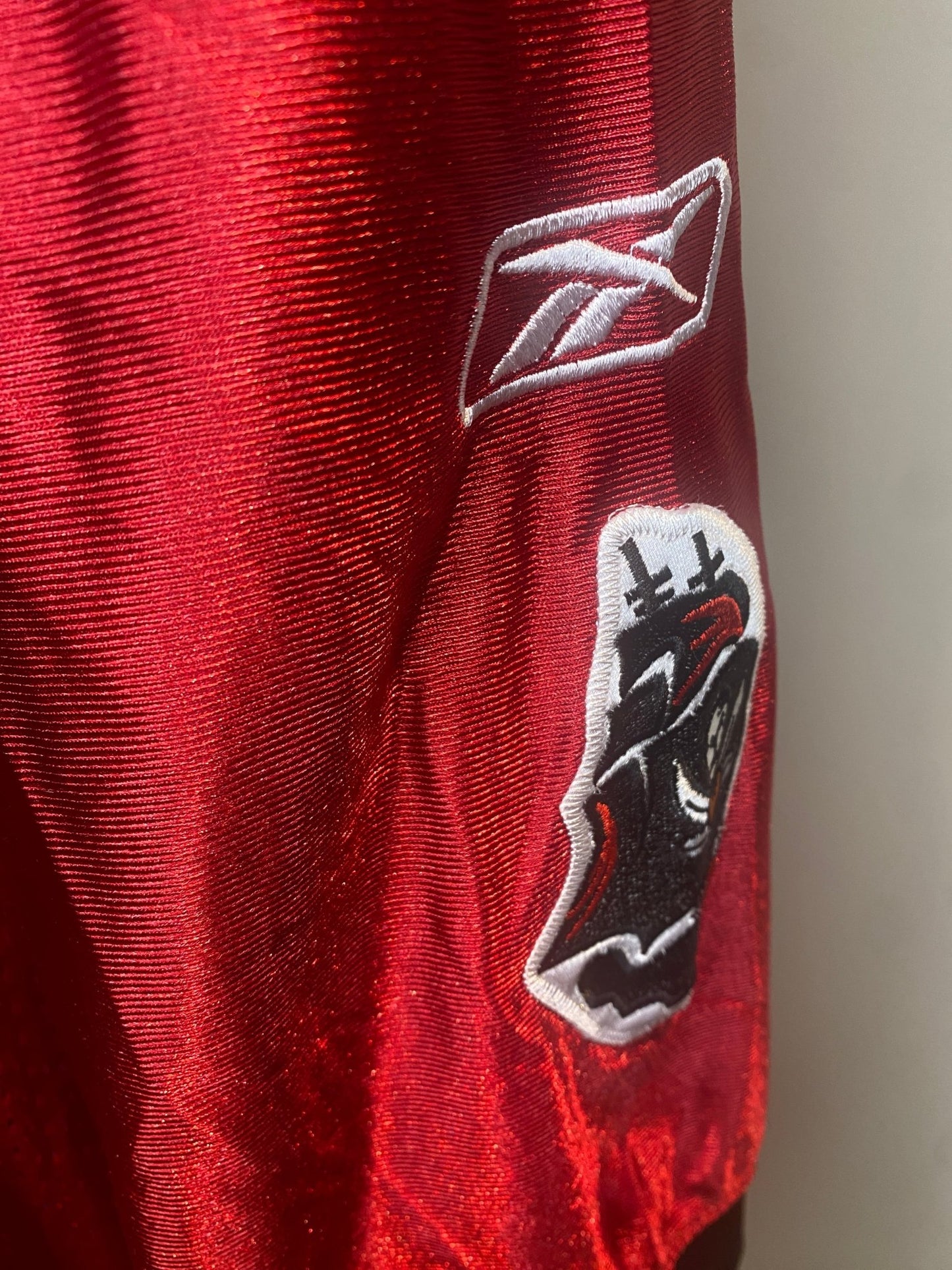 Josh Freeman Tampa Bay Buccaneers Jersey