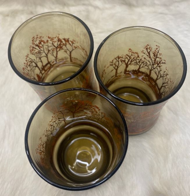 Libbey Forest Amber Drink Glasses