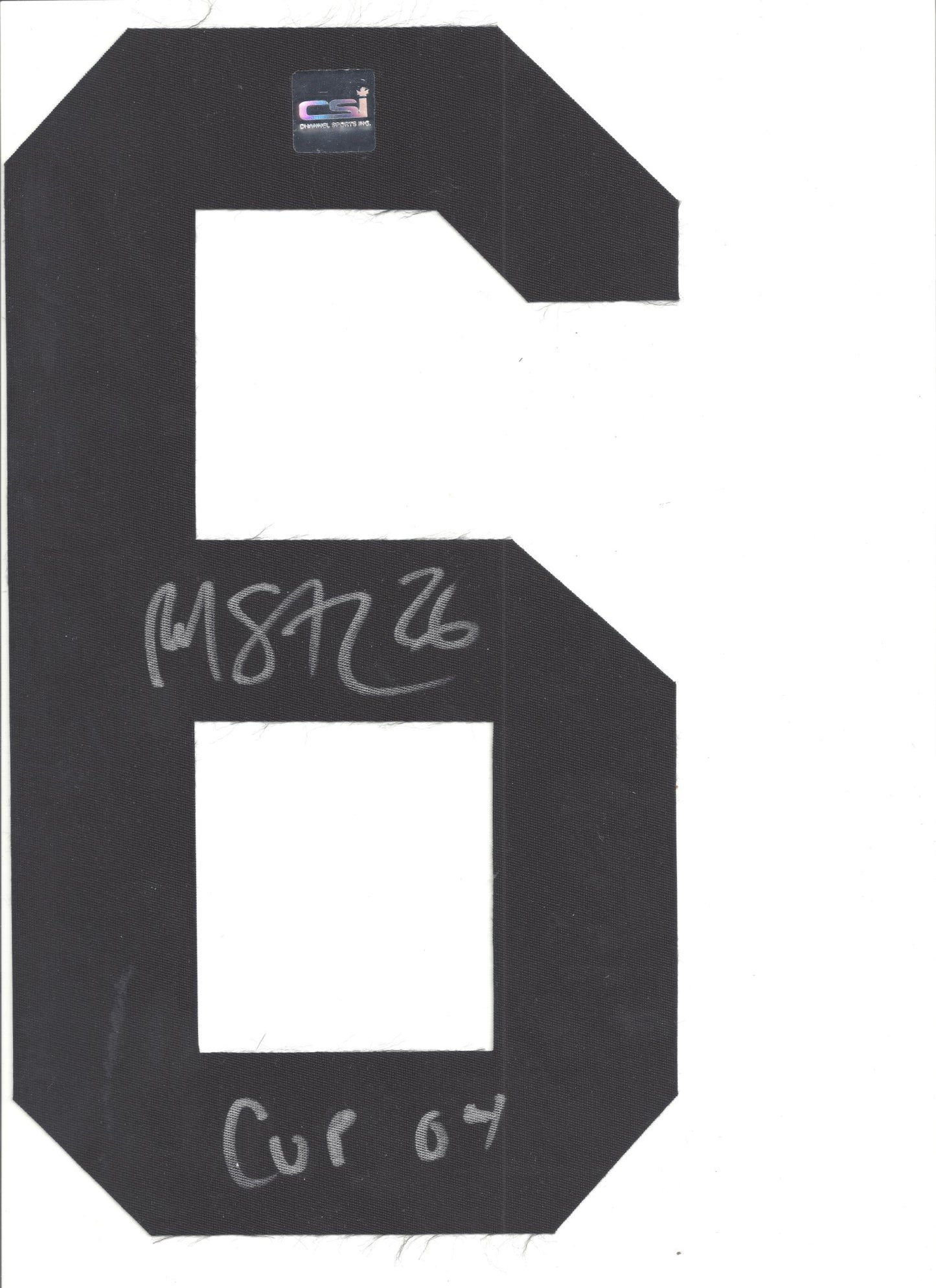 Martin St. Louis Tampa Bay Lightning Signed Jersey Number COA