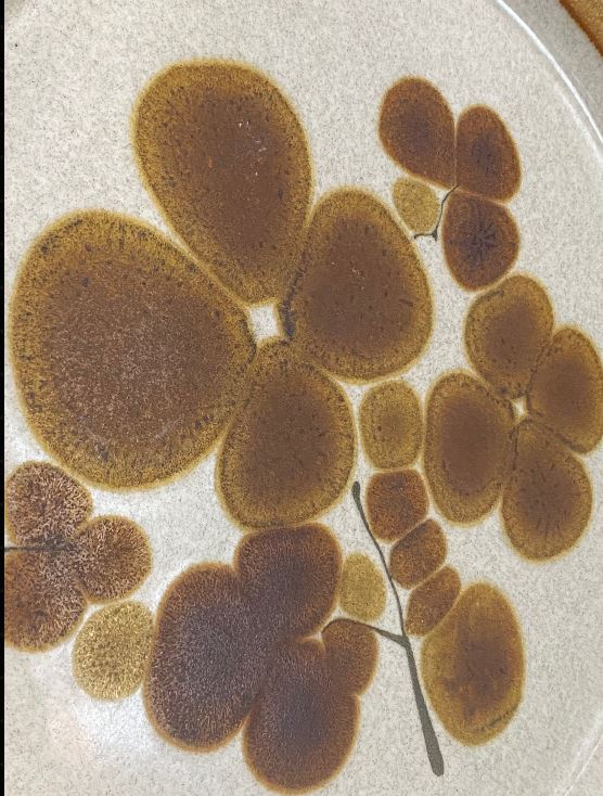 Mikasa Stone Manor Java Dinner Plate