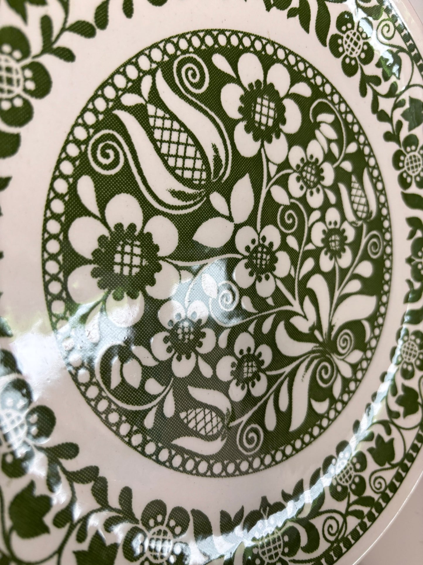 Myott Provence Dinner Plate with white base and green floral pattern