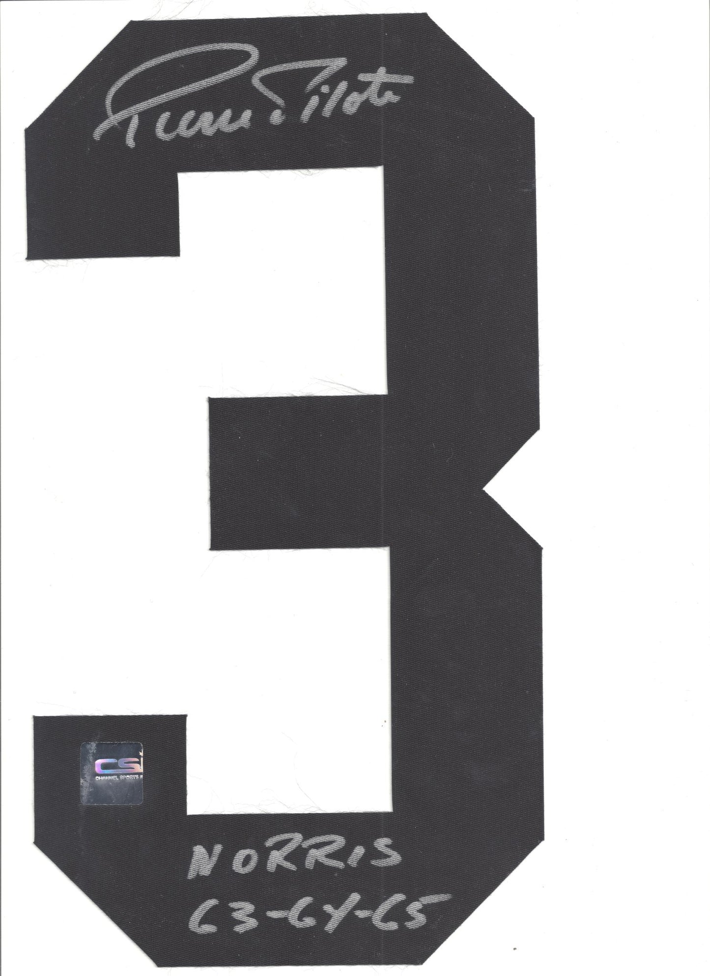 Pierre Pilote Chicago Black Hawks Signed Jersey Number