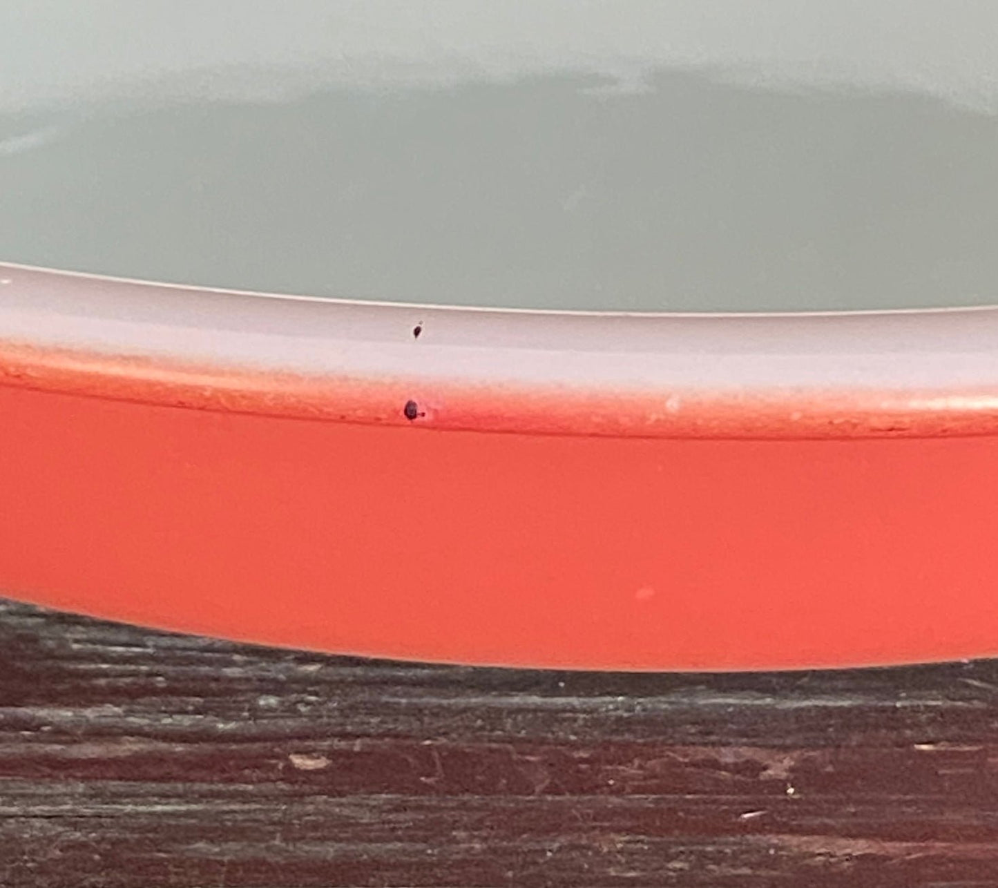Pyrex Flamingo Pink Pie Plate