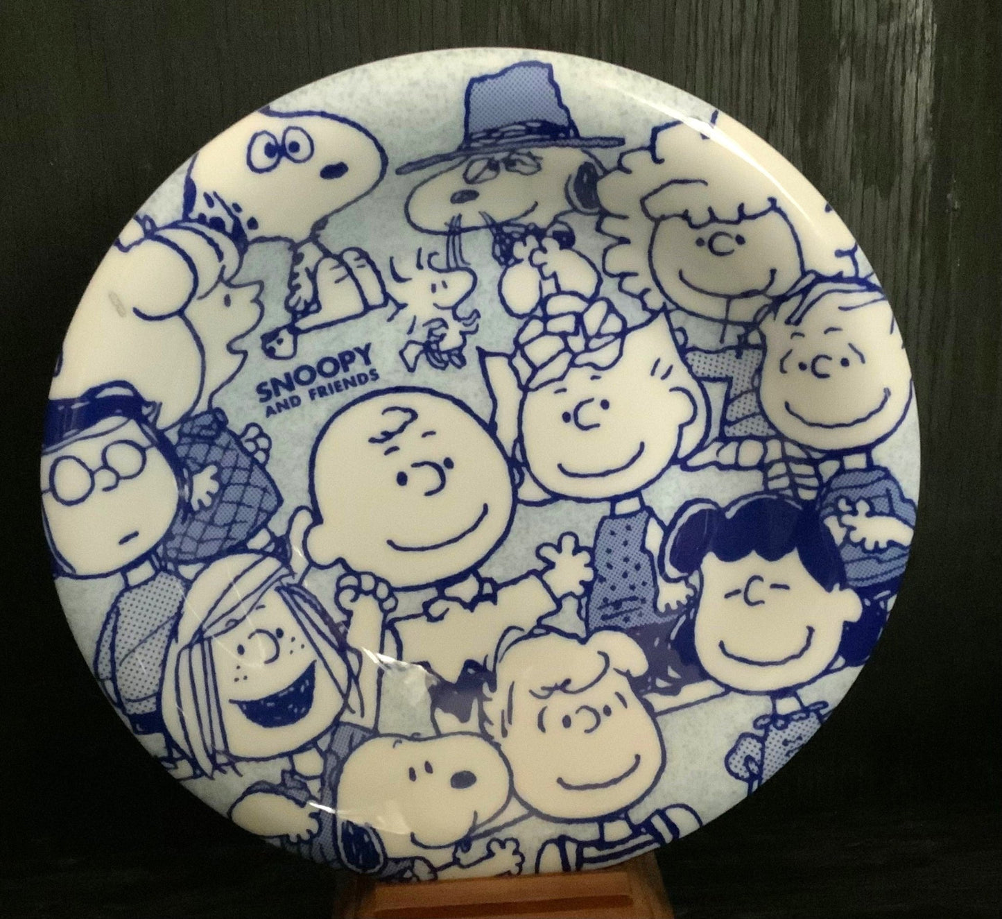 Snoopy and Friends Decorative Bowl