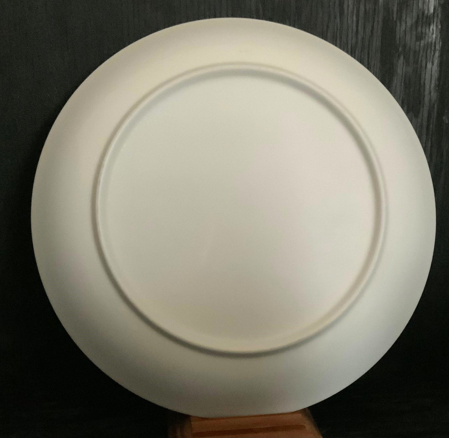 Snoopy Great Chef is in Plate