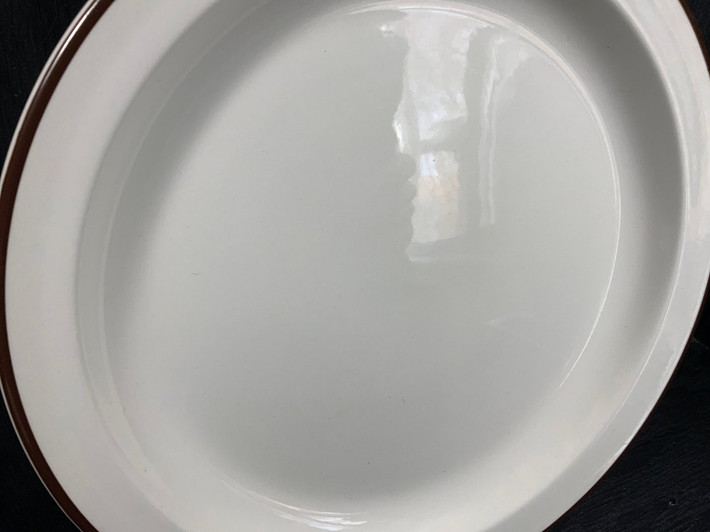 Stonehenge Midwinter Cafe Au Lait Dinner Plate