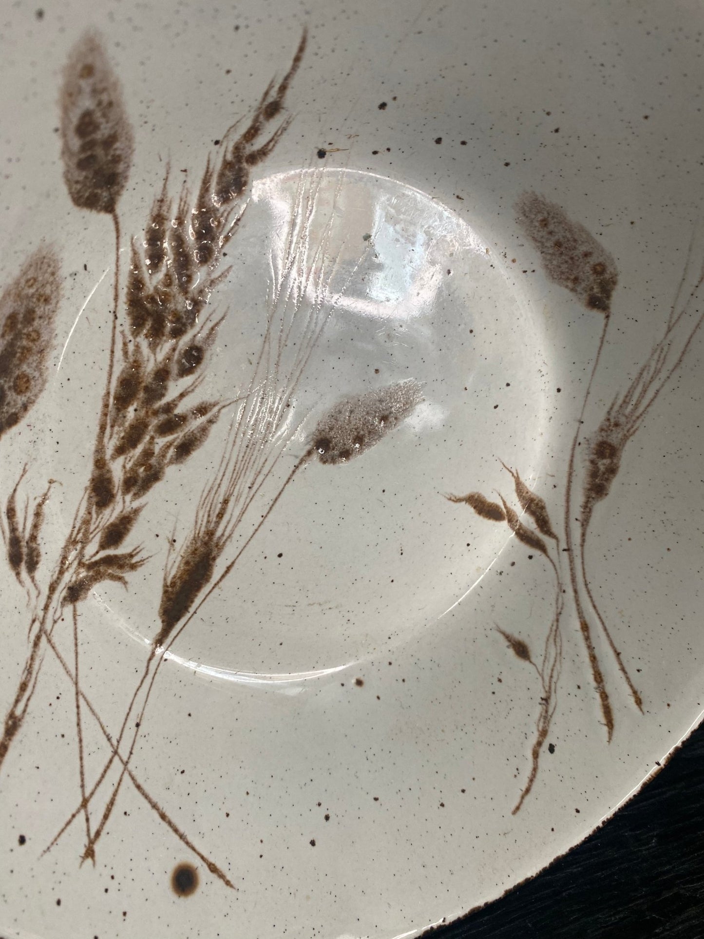 Stonehenge Midwinter Wild Oats 9 Inch Bowl