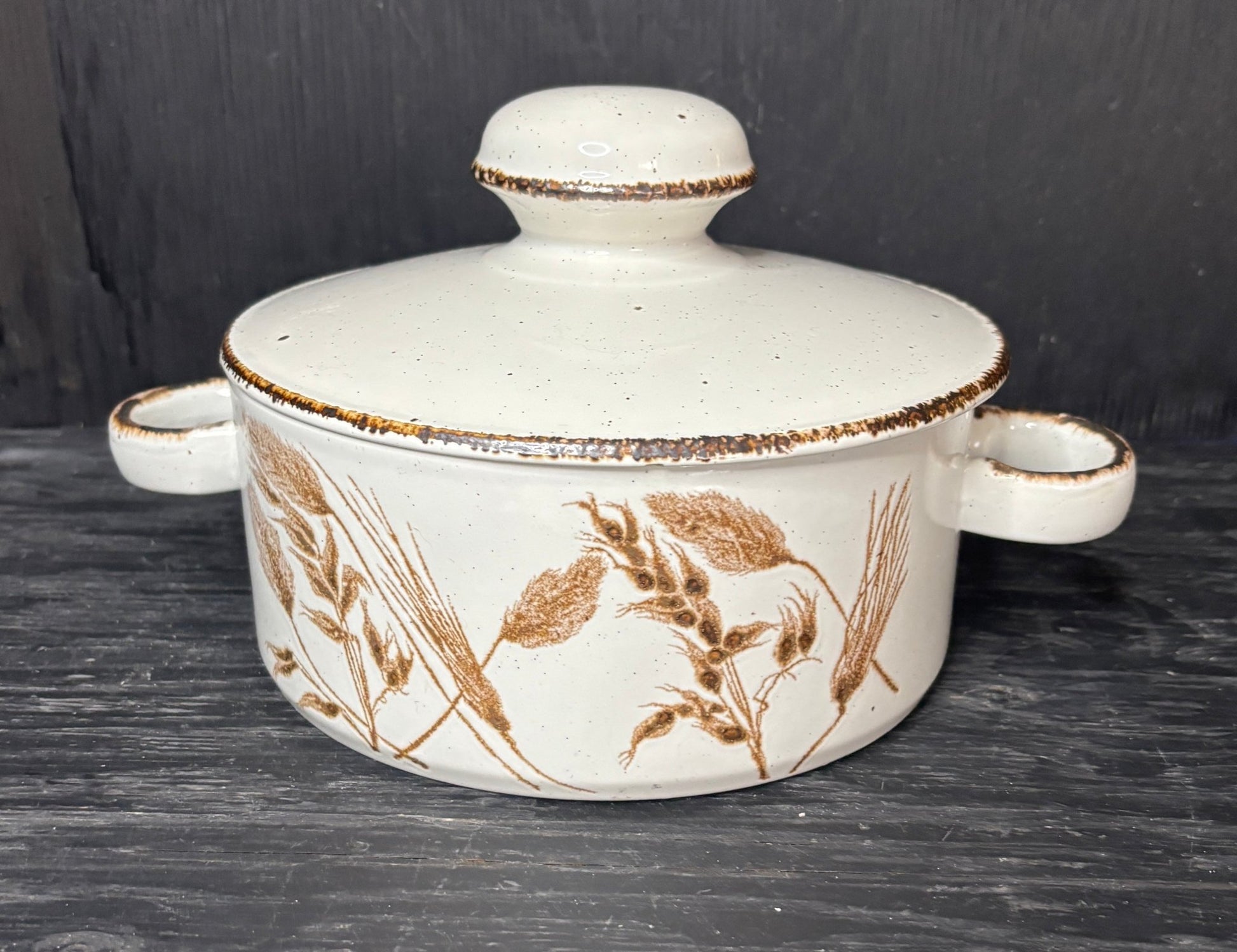 Stonehenge Midwinter Wild Oats Casserole Dish