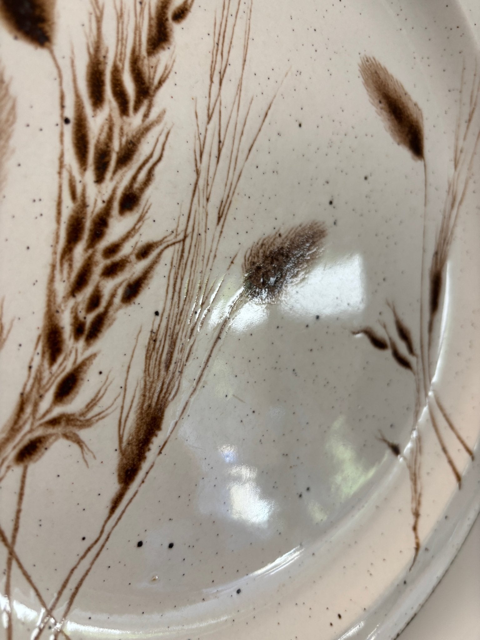 Stonehenge Midwinter Wild Oats Dinner Plates