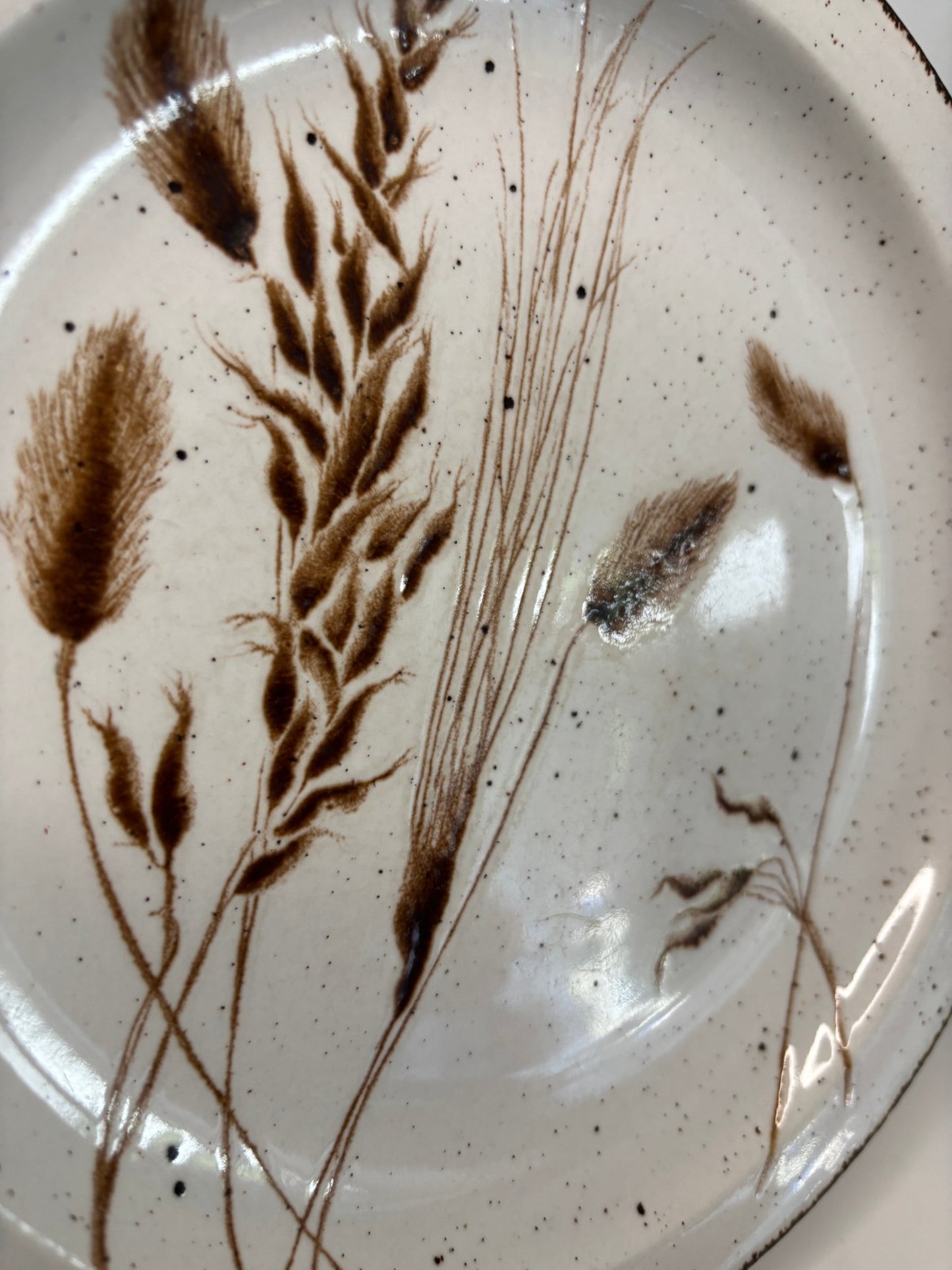 Stonehenge Midwinter Wild Oats Salad Plates