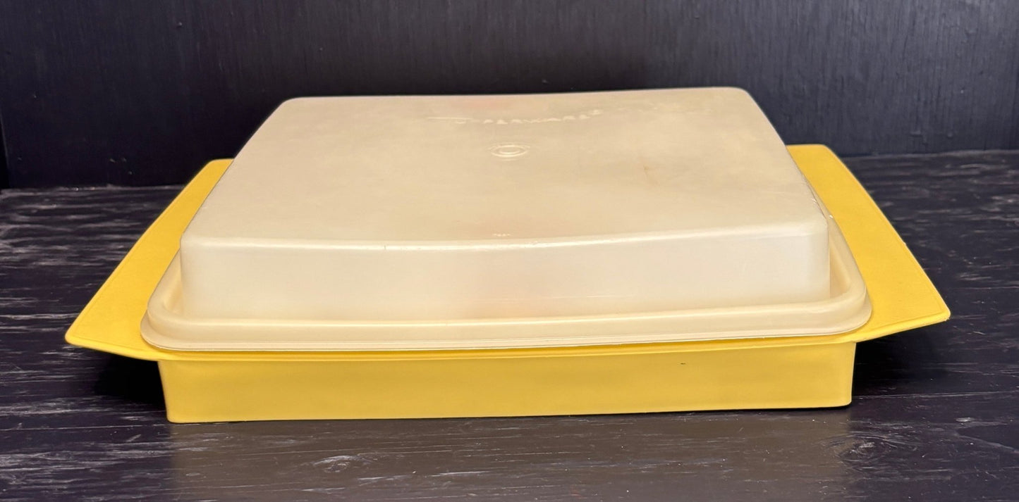 Tupperware Egg Carrier