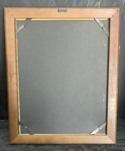 1967 Canadian 10 - Piece The Centennial Collection Framed Coin Set