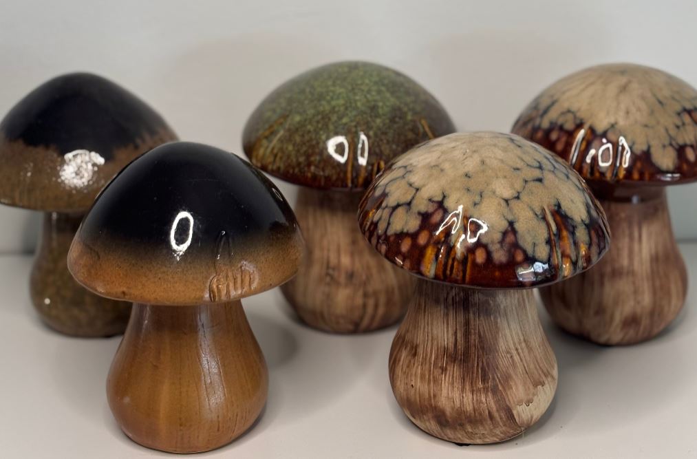 Set of ceramic mushrooms with brown and black caps on a white background