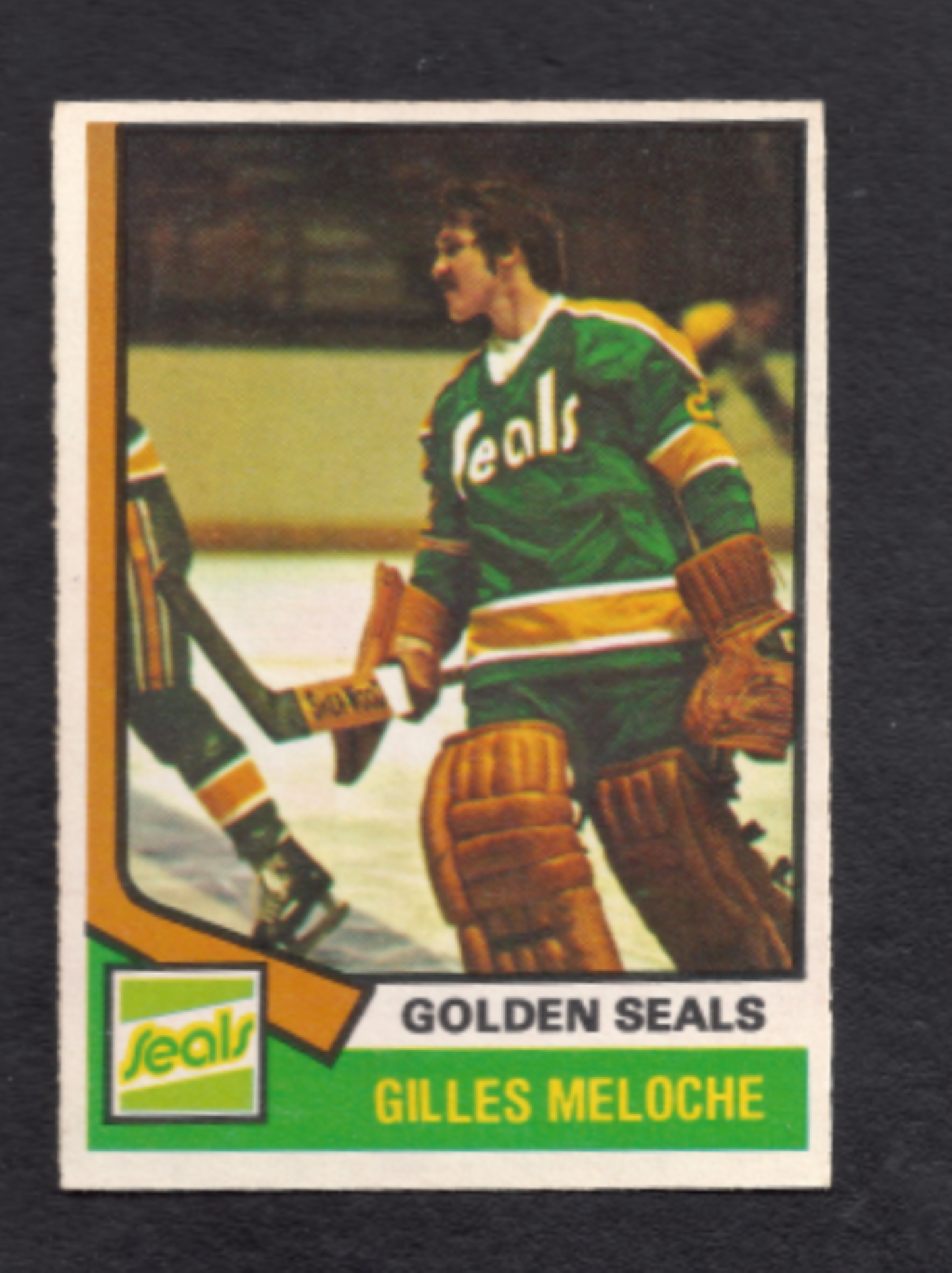 Gilles Meloche California Golden Seals Hockey Card