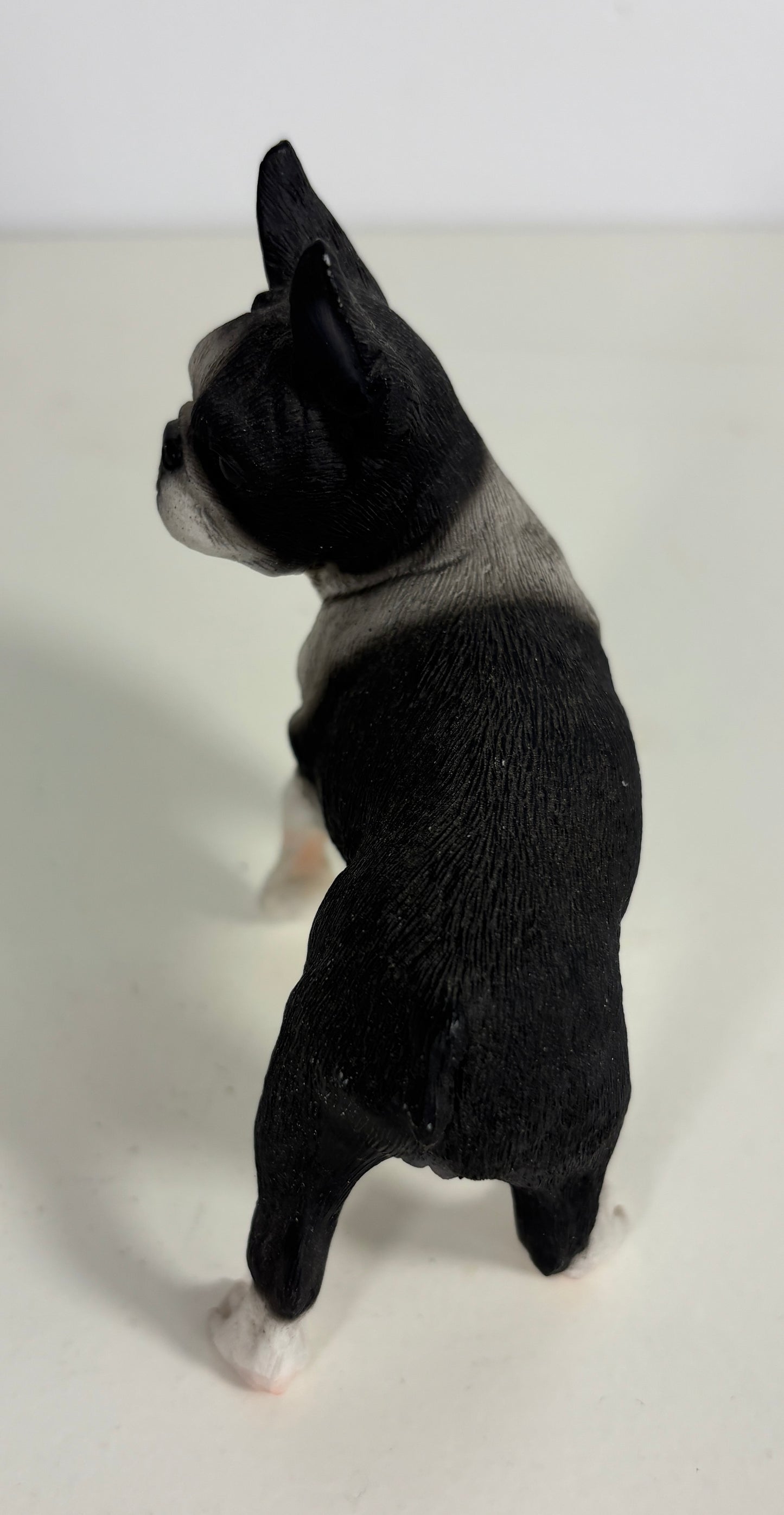 Conversation Concepts Boston Terrier Figurine