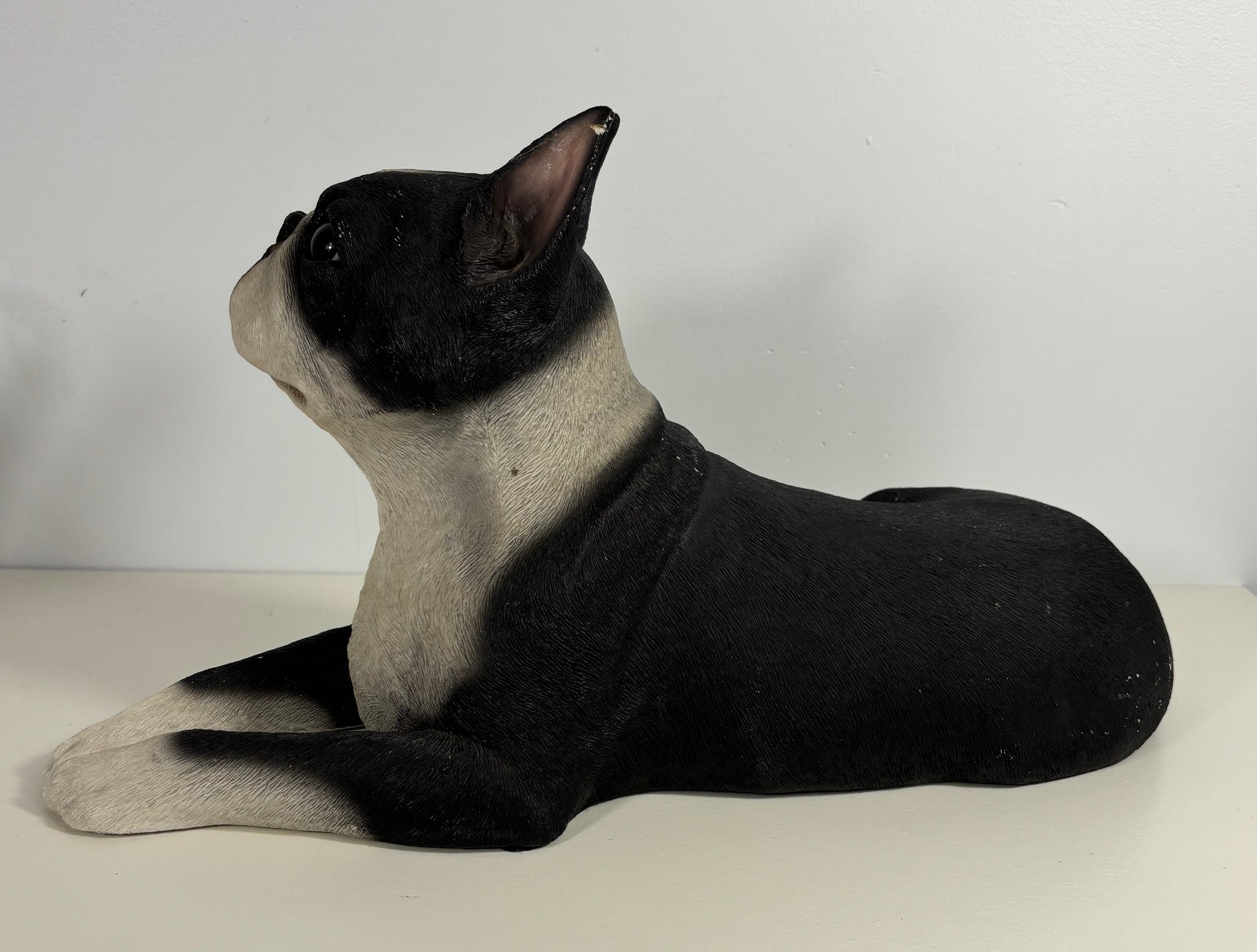 Dog statue with black and white fur on a plain background