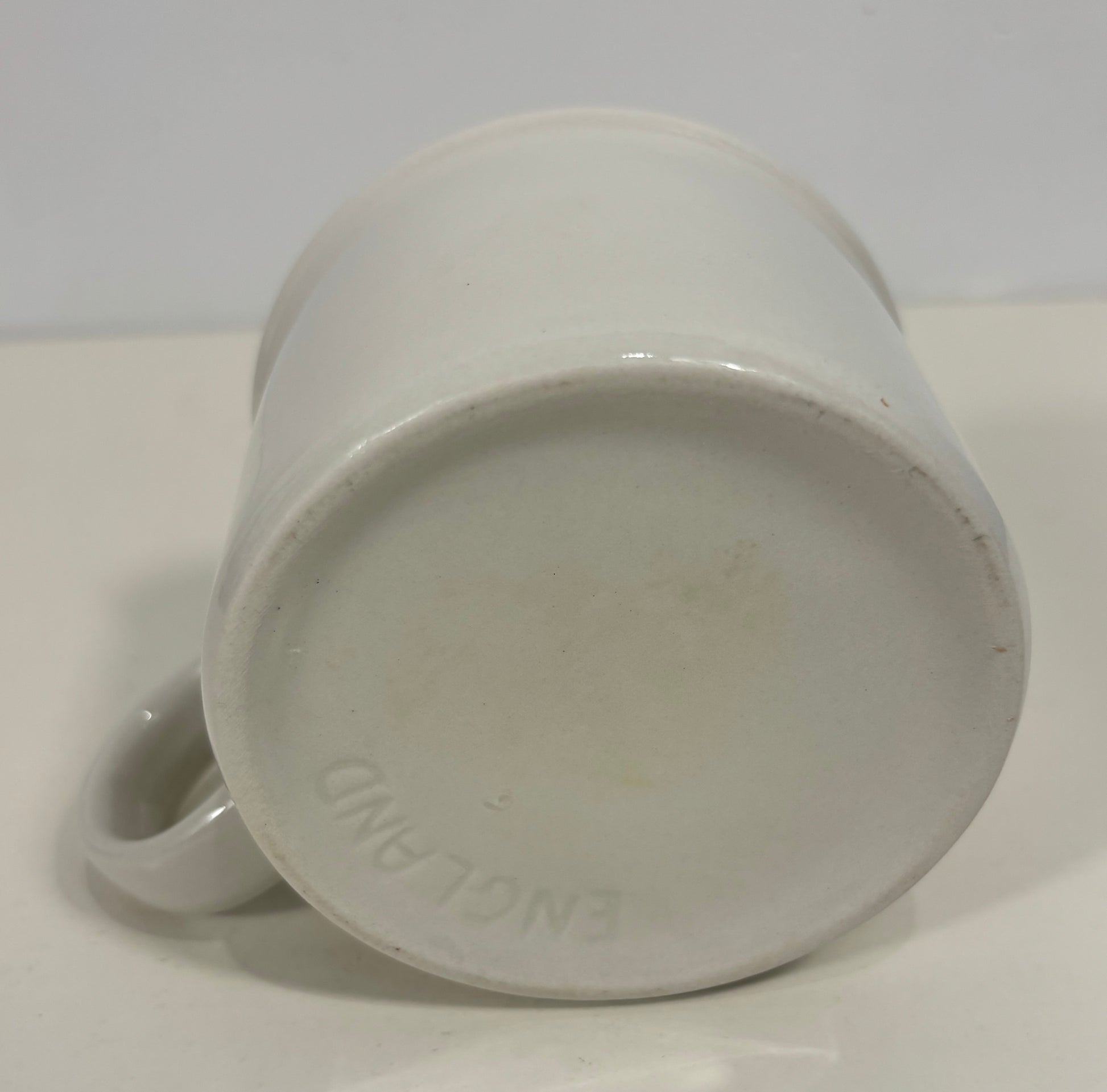 Stonehenge Midwinter White Tea cup