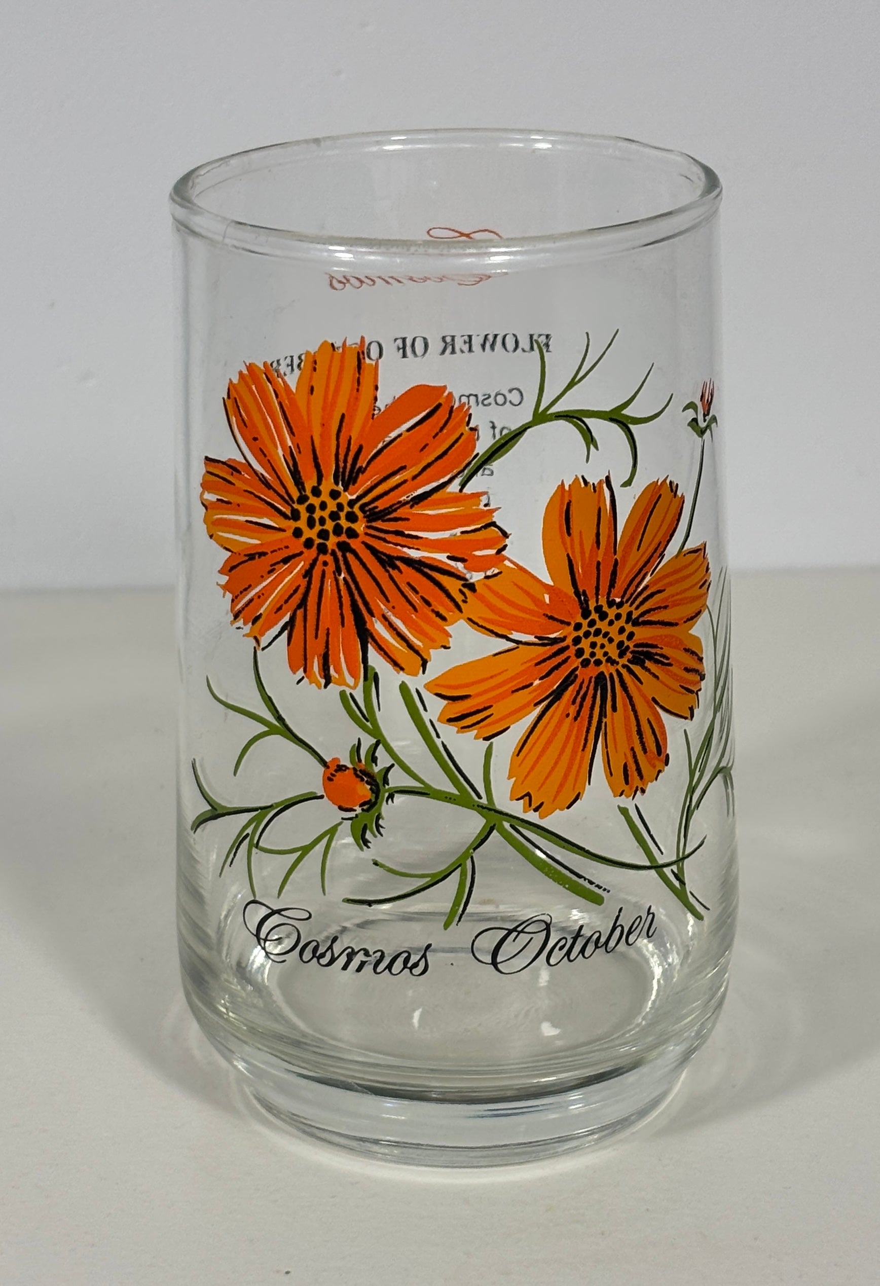 Dominion Glass Cosmos October Flower of the Month Glass Tumbler