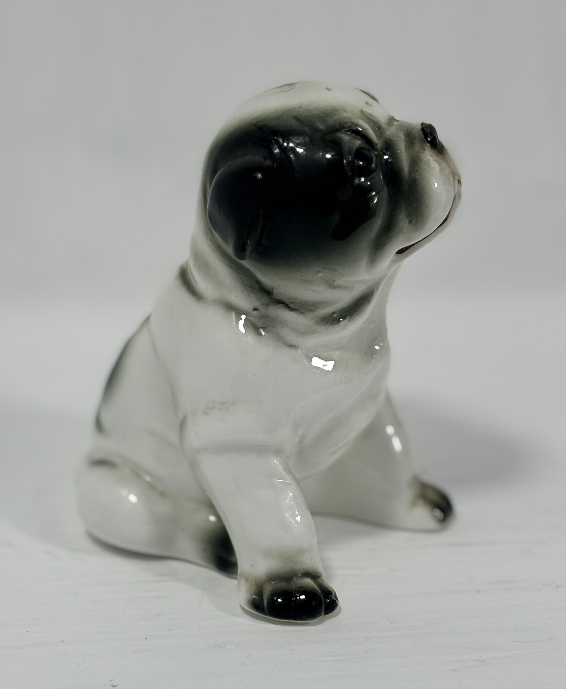 Small ceramic bulldog figurine on a white background