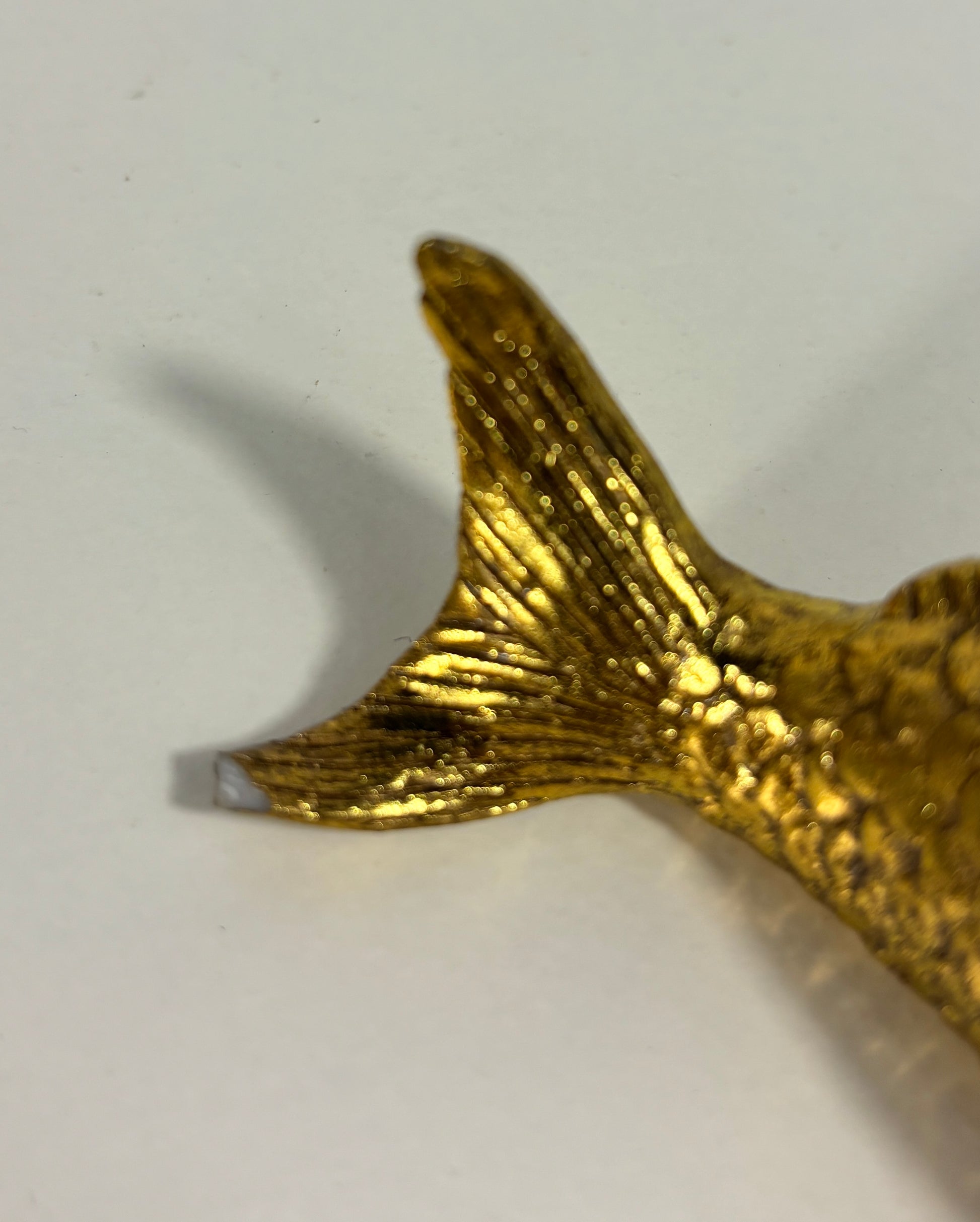 Close-up of a gold fish tail on a white background