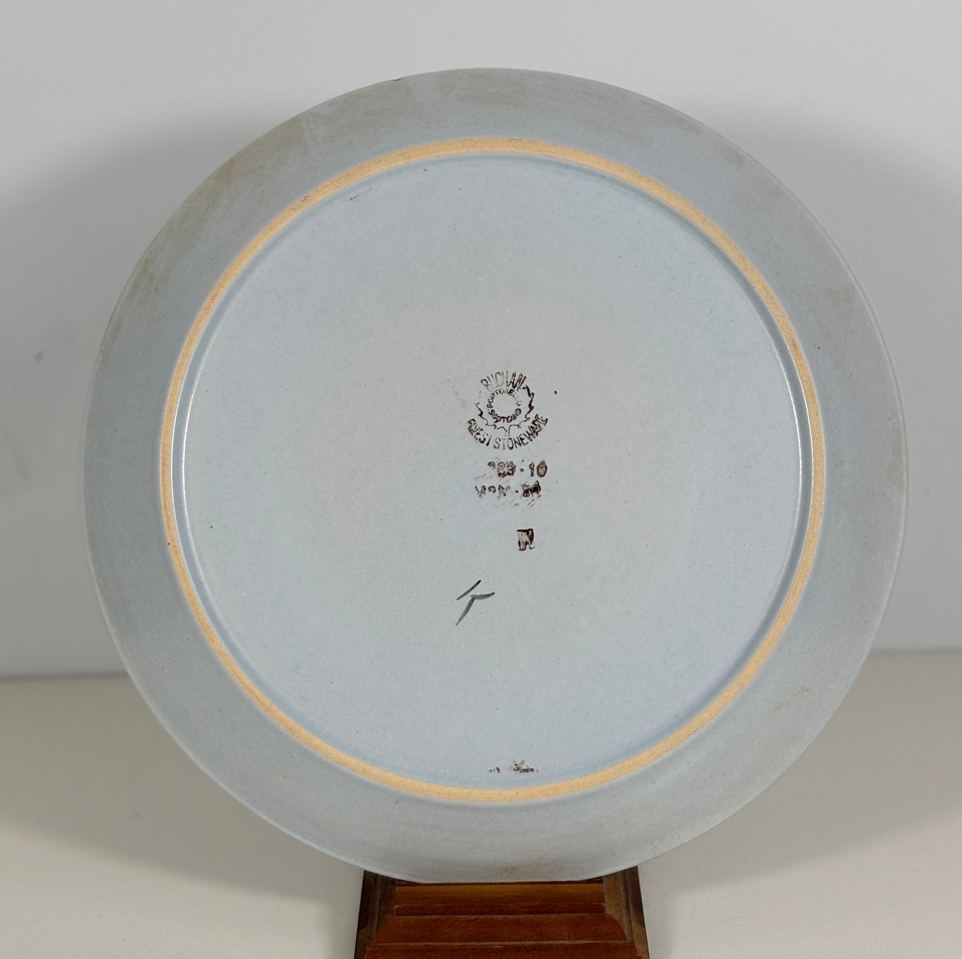Buchan Thistleware Dinner Plate