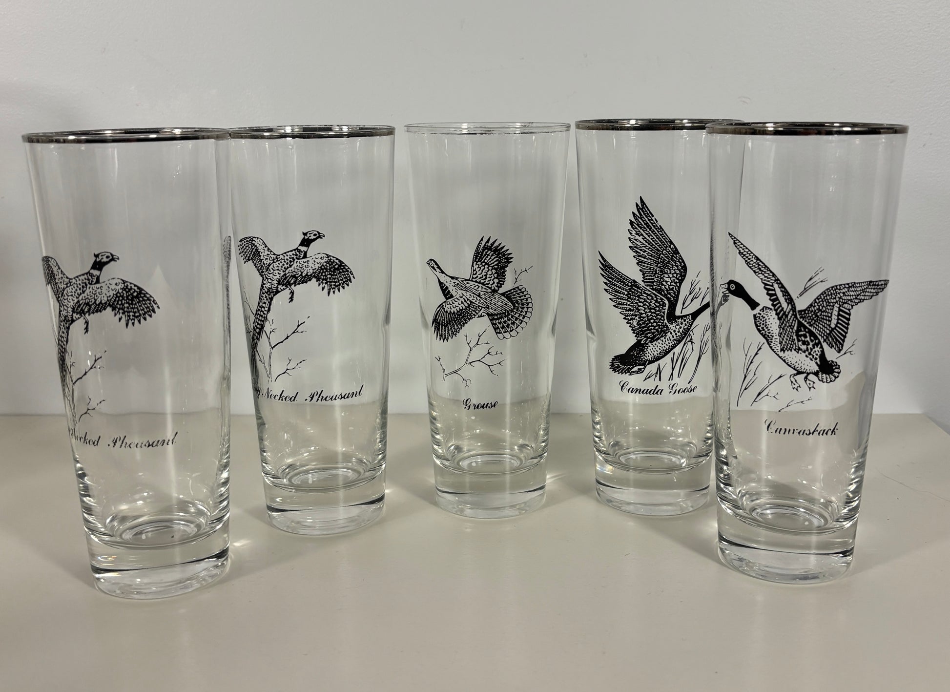 1960s Federal Glass Sportsman Bird Theme Highball Glasses Set