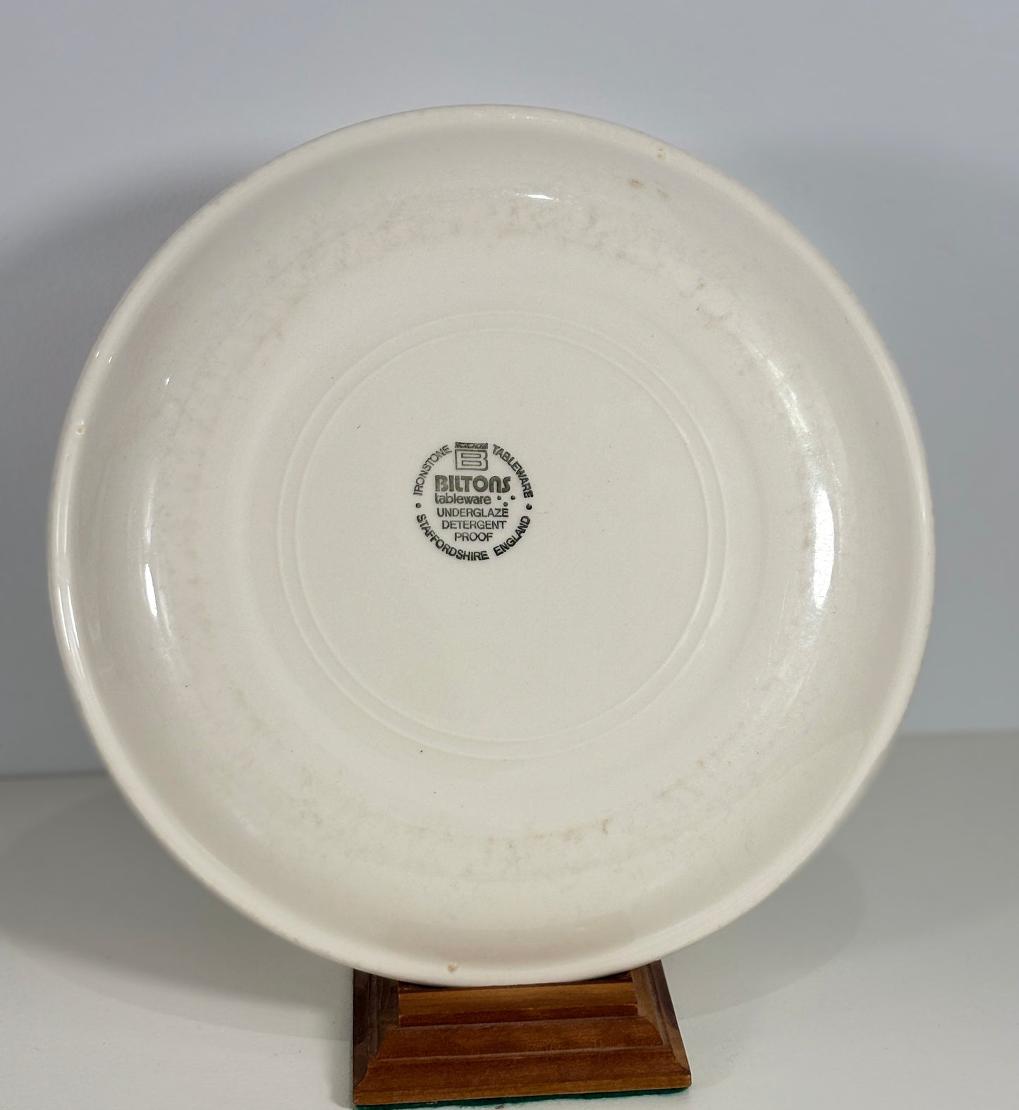 Biltons Brown and Rust Red Rim Dinner Plates