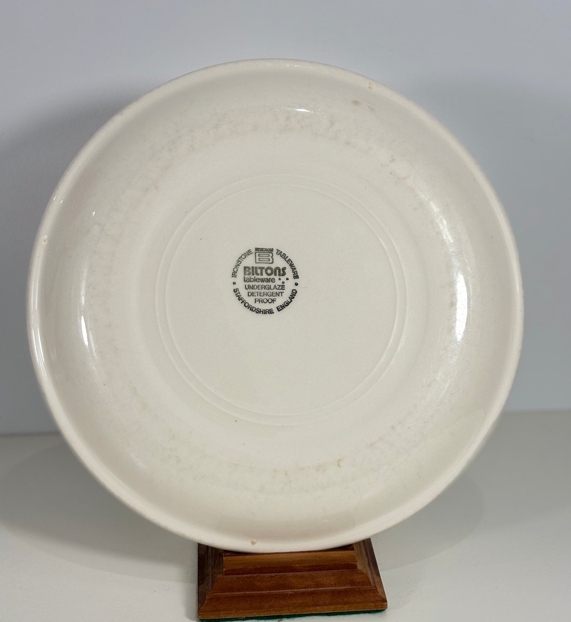 Biltons Brown and Rust Red Rim Dinner Plates