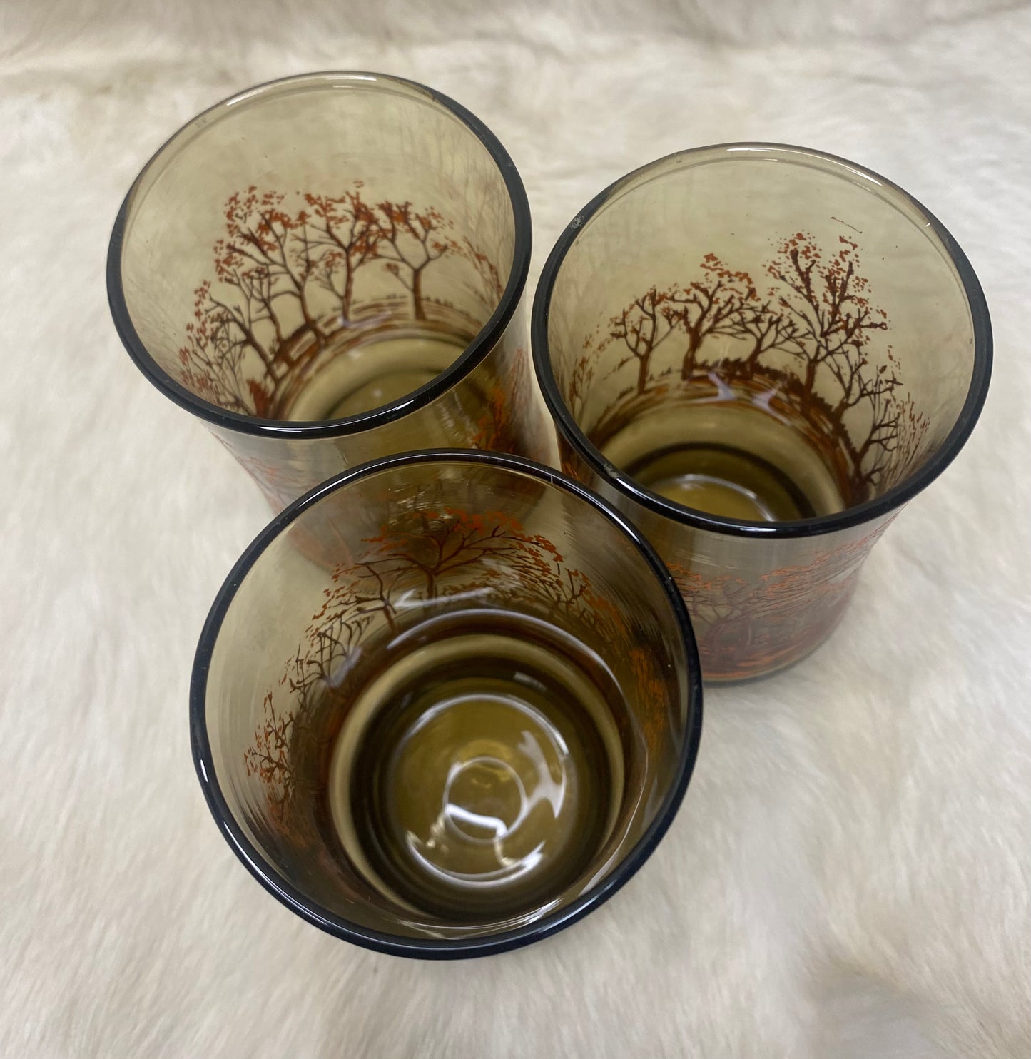 Libbey Forest Amber Drink Glasses