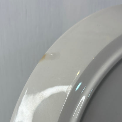 Close-up of a white toilet seat against a plain background