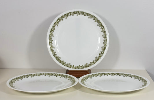 Corelle Green Crazy Daisy Spring Blossom Salad Plates Set