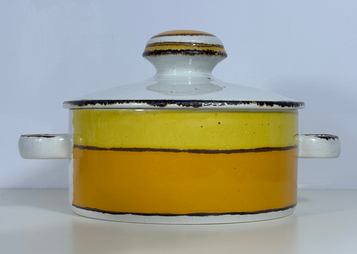 Stonehenge Midwinter Sun Covered Casserole Dish