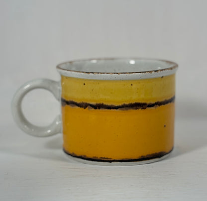 Stonehenge Midwinter Sun Teacup