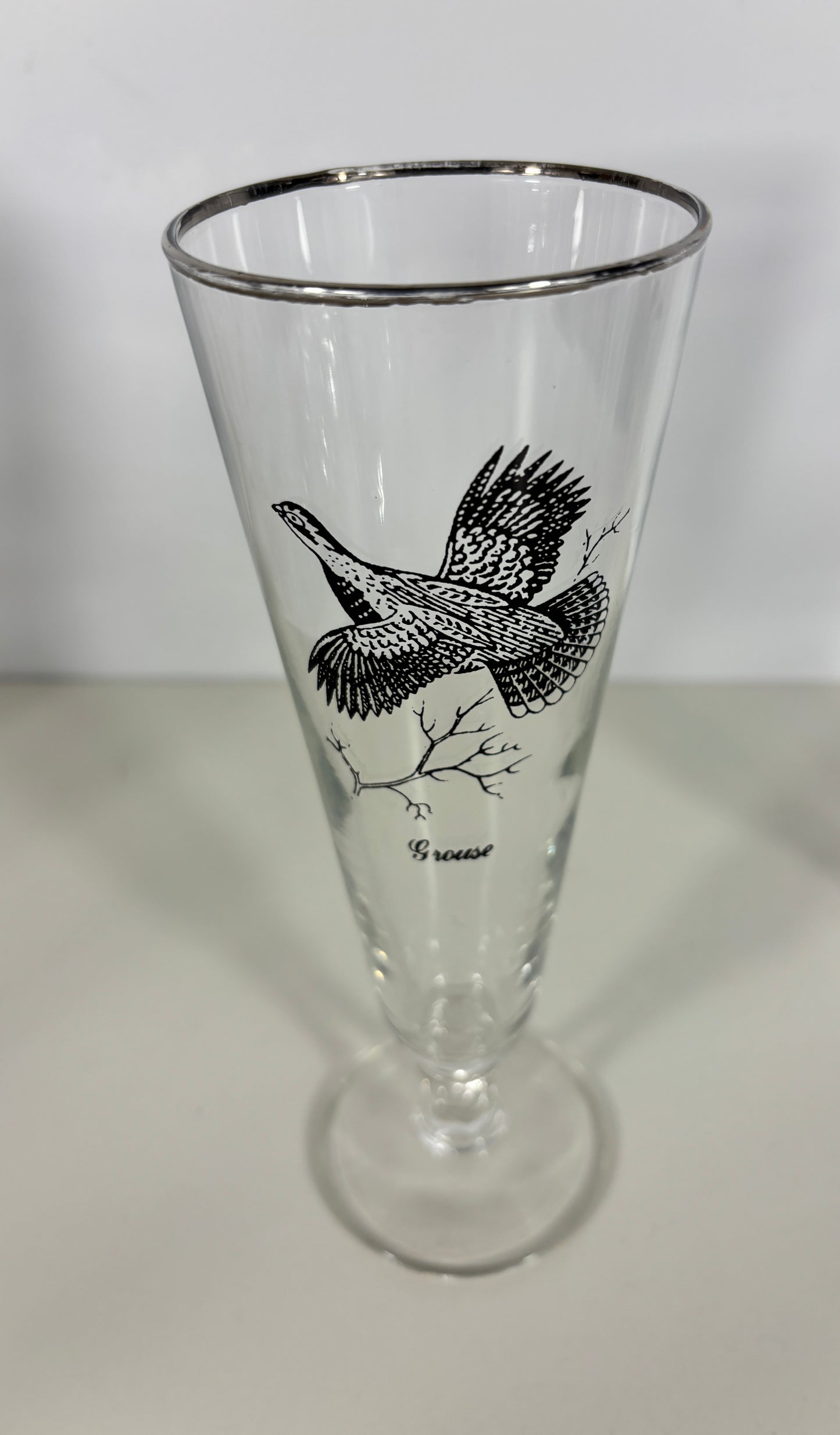 Clear glass with black bird design on a white background