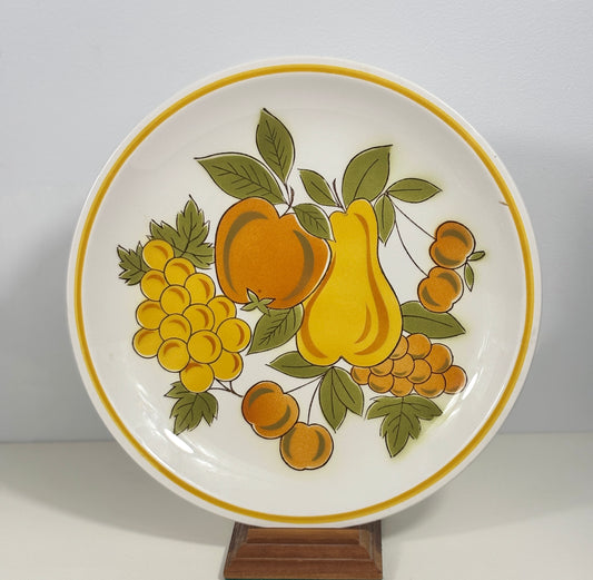 Mikasa Cera Stone Fruit Salad Dinner Plate