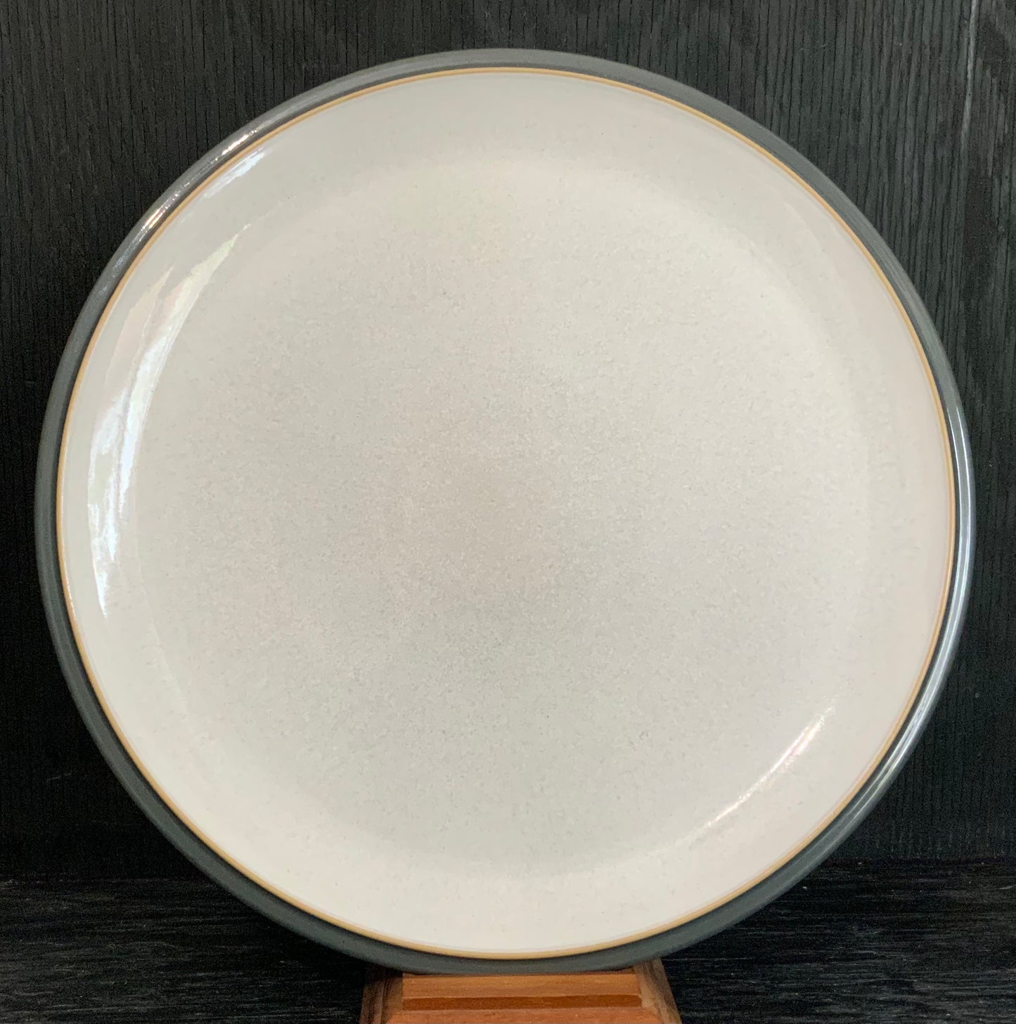 Denby Energy Dinner Plates