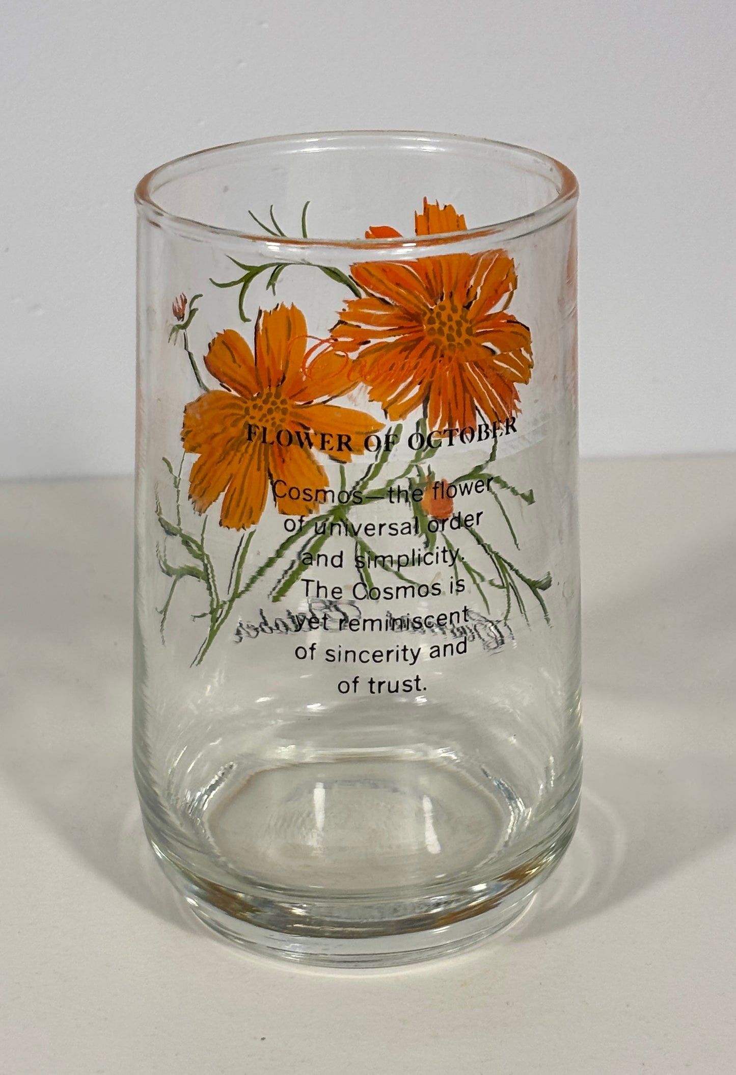Dominion Glass Cosmos October Flower of the Month Glass Tumbler