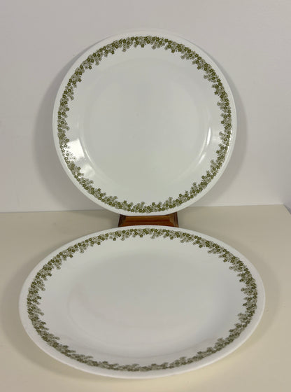 Corelle Green Crazy Daisy Spring Blossom Dinner Plates Pair